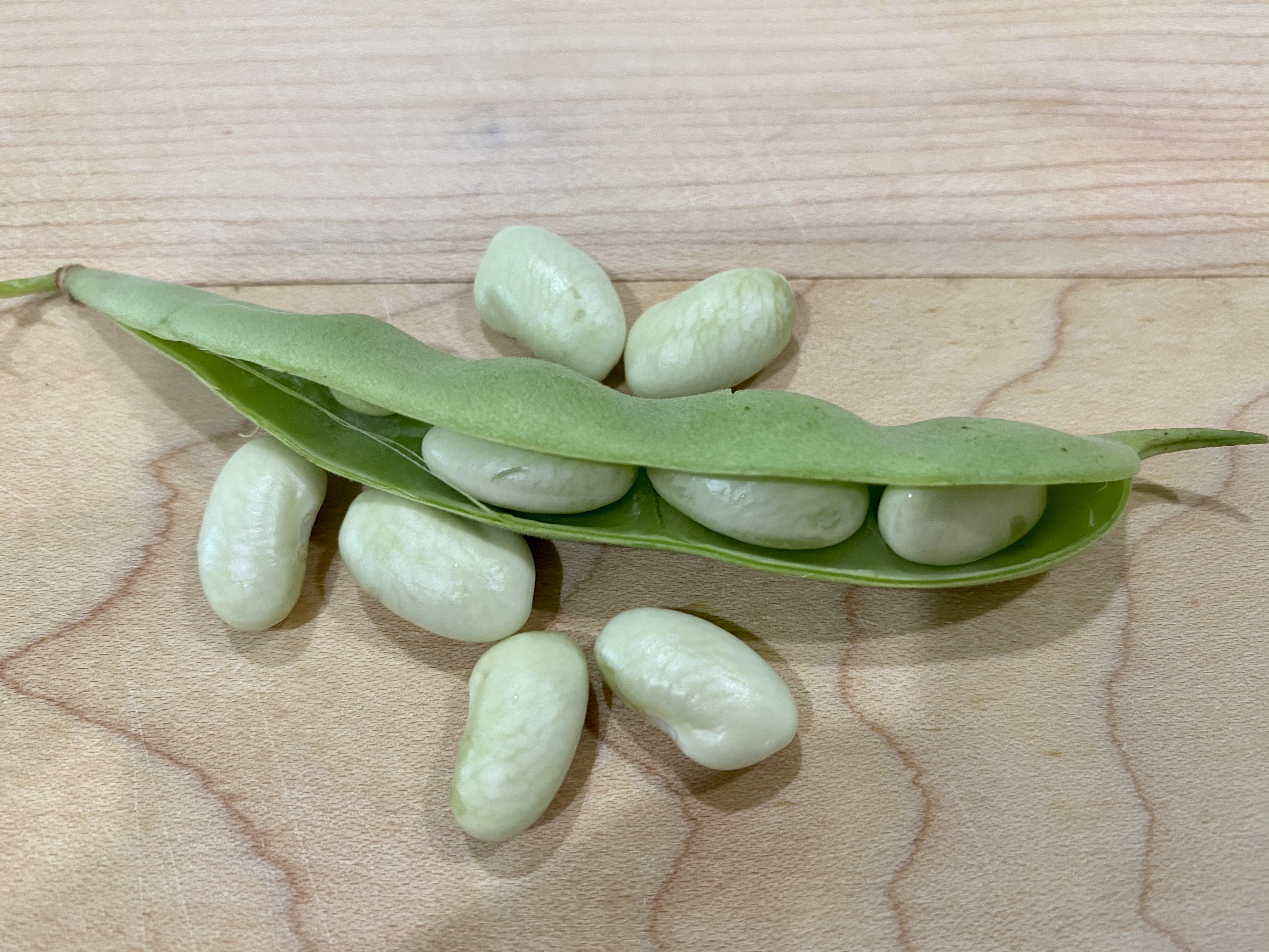 Extreme gardening and the art of saving seeds 